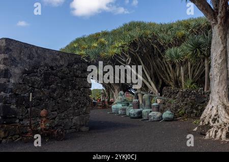 Das Weinmuseum von Pico befasst sich mit der Weinherstellung und der Geschichte der Weinproduktion auf der Insel Pico, Azoren, Portugal. Stockfoto