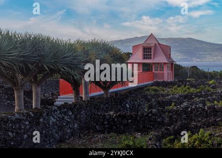 Das Weinmuseum von Pico befasst sich mit der Weinherstellung und der Geschichte der Weinproduktion auf der Insel Pico, Azoren, Portugal. Stockfoto