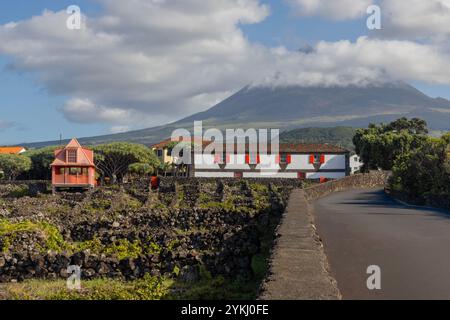 Das Weinmuseum von Pico befasst sich mit der Weinherstellung und der Geschichte der Weinproduktion auf der Insel Pico, Azoren, Portugal. Stockfoto