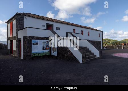 Das Weinmuseum von Pico befasst sich mit der Weinherstellung und der Geschichte der Weinproduktion auf der Insel Pico, Azoren, Portugal. Stockfoto