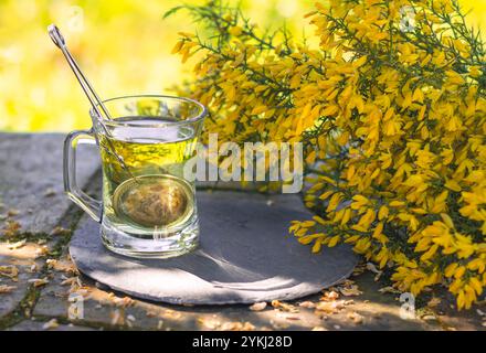 Ginster-Tee und Blumen Stockfoto