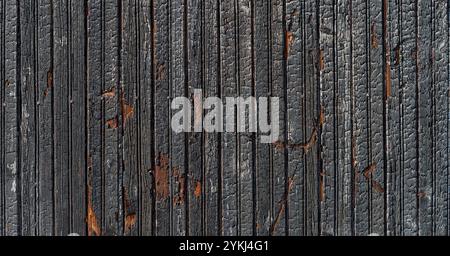 Verbrannte vertikale Holzdielen Textur an einem hellen sonnigen Tag. Hintergrund der verkohlten Holzbretter. Verbrannte Holzplanken wurden durch Hitze und Feuer schwarz. Stockfoto