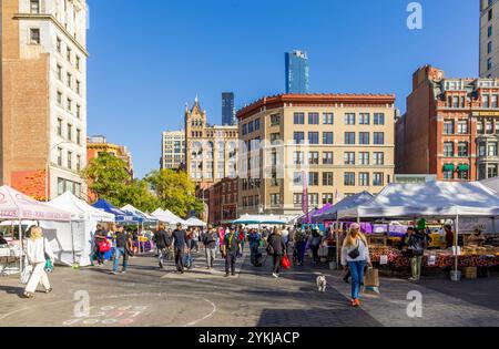 New York, New York - 6. November 2024: Union Square Greenmarket in New York City Stockfoto