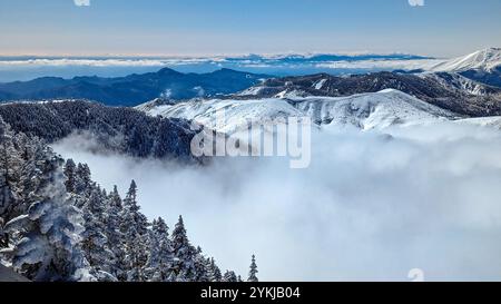 Gefrorene Bäume und ein Vulkan, der über einer Schicht dicker, tief liegender Wolken auftaucht (Nagano, Japan) Stockfoto