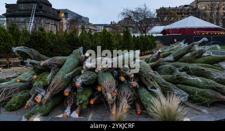 Edinburgh, Schottland, Vereinigtes Königreich, 18. November 2024. Weihnachtsdekoration & Markt: Die Hauptstadt bereitet sich auf die Weihnachtszeit vor. Im Bild wird ein Tannenbaumlabyrinth in den Gärten des St. Andrew Square errichtet. Quelle: Sally Anderson/Alamy Live News Stockfoto