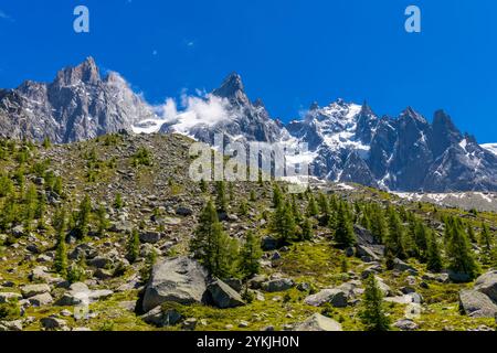 Aiguilles du Chamonix bietet scharfe felsige Berggipfel in den französischen Alpen. Diese beeindruckende Landschaft ist ideal für Fotografien und bietet schroffe Gipfel Stockfoto