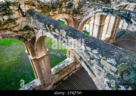 Kloster Santa Maria de Rioseco, Kreuzgang, Manzanedo-Tal, Kastilien und Leon, Spanien. Stockfoto