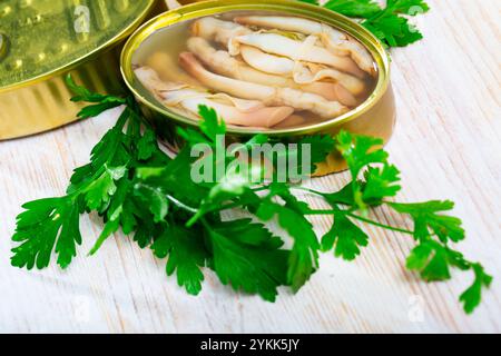 Konserven-ensis mit Zitrone und Grünpflanzen Stockfoto