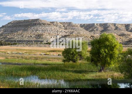 Karge Landschaft des Wind River Valley mit Feuchtgebieten und Buttes im Zentrum von Wyoming Stockfoto