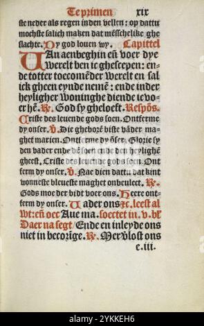 Stundenbuch Wolfgang Hopyl - kW 172 C 21 - 019r. Stockfoto