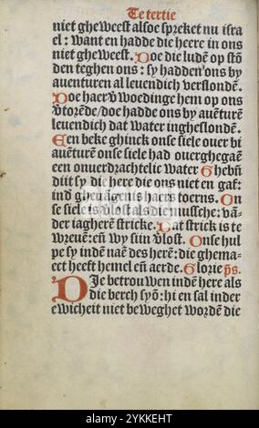 Stundenbuch Wolfgang Hopyl - kW 172 C 21 - 021v. Stockfoto