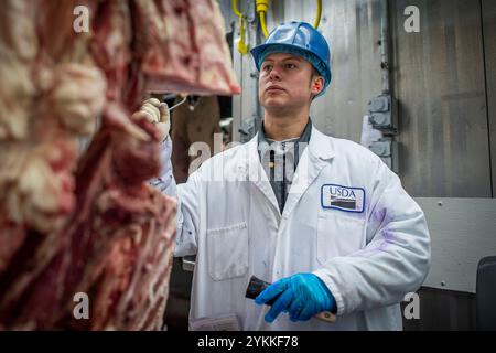 Inspektoren für landwirtschaftliche Fleischerzeugnisse der USDA untersuchen und sortieren Rindfleisch in einem Schlachthof und einer Verpackungsanlage. Stockfoto