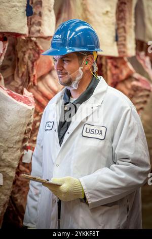 Inspektoren für landwirtschaftliche Fleischerzeugnisse der USDA untersuchen und sortieren Rindfleisch in einem Schlachthof und einer Verpackungsanlage. Stockfoto