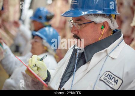 Inspektoren für landwirtschaftliche Fleischerzeugnisse der USDA untersuchen und sortieren Rindfleisch in einem Schlachthof und einer Verpackungsanlage. Stockfoto