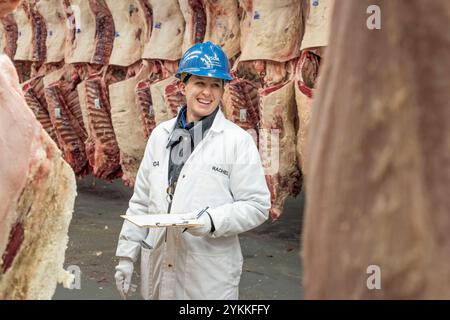 Inspektoren für landwirtschaftliche Fleischerzeugnisse der USDA untersuchen und sortieren Rindfleisch in einem Schlachthof und einer Verpackungsanlage. Stockfoto