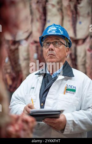 Inspektoren für landwirtschaftliche Fleischerzeugnisse der USDA untersuchen und sortieren Rindfleisch in einem Schlachthof und einer Verpackungsanlage. Stockfoto