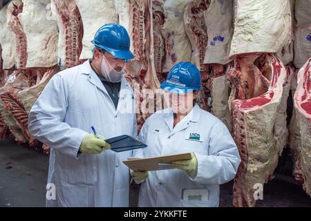 Inspektoren für landwirtschaftliche Fleischerzeugnisse der USDA untersuchen und sortieren Rindfleisch in einem Schlachthof und einer Verpackungsanlage. Stockfoto
