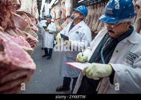 Inspektoren für landwirtschaftliche Fleischerzeugnisse der USDA untersuchen und sortieren Rindfleisch in einem Schlachthof und einer Verpackungsanlage. Stockfoto