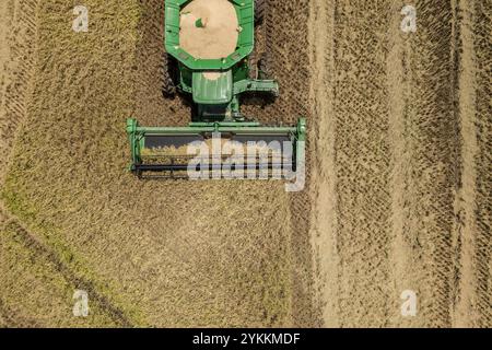 Reisernte auf der 3S Ranch in der Nähe von El Campo und Nada, Colorado County, Texas, am 24. Juli 2020. Die 3S Ranch ist ein Reiszuchtbetrieb der Familie Schiurring. Slade Schiurring, in einem der Mähdrescher, führt sein Team aus zwei Mähdreschern, Trichter-Traktoranhängern und einem Getreidewagen an, um so viel Reis wie möglich zu ernten, bevor Hurrikan Hanna eintrifft, dessen Regen den Boden voraussichtlich zu weich machen wird, damit die Landmaschinen arbeiten können. Der Betrieb wird von J Brent Schiurring überwacht. Die rund 6.000 Hektar große Ranch produziert etwa 1.500 Hektar Reis. Die Familie Stockfoto