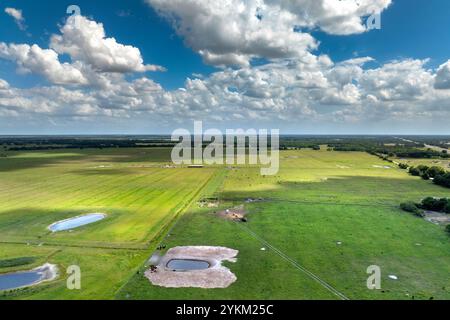 Wasserreservoirs für Kühe, die auf grüner Weidefläche weiden. Trinkende Teiche auf der Freilandfarm. Fütterung von Rindern auf landwirtschaftlichem Grünland Stockfoto