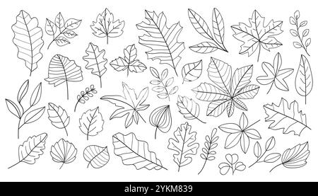 Handgezeichnete Herbstblätter von verschiedenen Bäumen, Eiche, Ahorn, Kastanien. Blattlinie Kunstsammlung zum Ausmalen von Büchern, Mustern, Aufklebern. Vektor i Stock Vektor