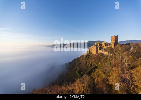 FRANKREICH, ELSASS, OBERRHEIN (68), REGIONALER NATURPARK BALLONS DES VOGESGES, SCHLOSS SAINT-ULRICH UND WOLKENMEER ÜBER DER ELSÄSSISCHEN EBENE IM HERBST Stockfoto