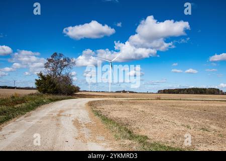 Windturbinen auf Farmland in Wheatley, Ontario, Kanada Stockfoto