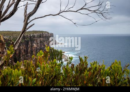 Felsige Klippen von Manly in New South Wales, Australien Stockfoto