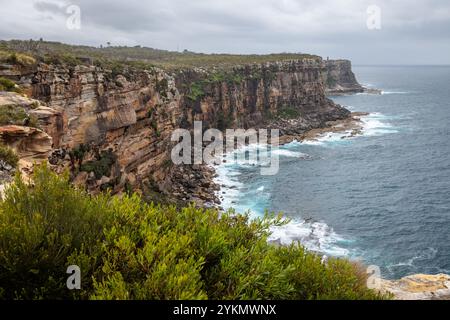 Felsige Klippen von Manly in New South Wales, Australien Stockfoto