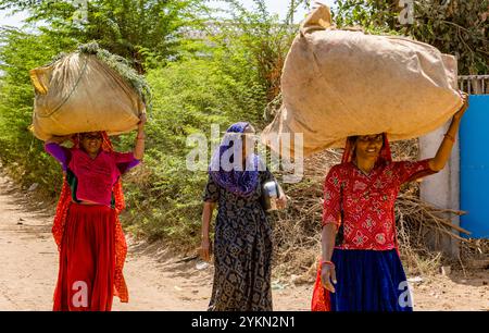 Drei Frauen in traditioneller Kleidung gleichen große Lasten auf dem Kopf aus, während sie auf einem staubigen Landweg laufen Stockfoto