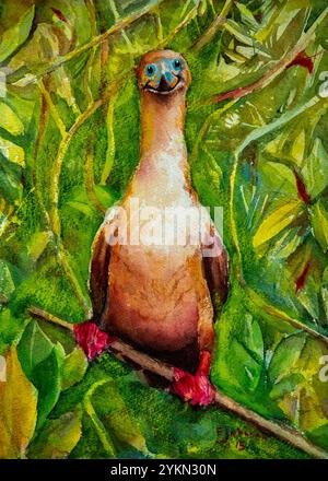 Aquarellgemälde eines Rothusskäfers, der auf einem Ast inmitten von leuchtendem Grün thront und die Besonderheiten des Vogels und seinen natürlichen Lebensraum zeigt Stockfoto