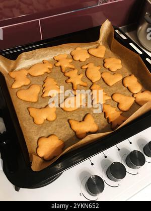 Ein Tablett mit goldbraunen Keksen in festlichen Formen, einschließlich Bäumen und Herzen, perfekt gebacken auf Pergamentpapier. Stockfoto