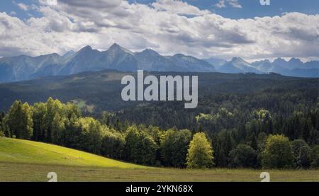 Atemberaubende Landschaft des Tatra-Nationalparks in Polens Karpaten mit üppigen grünen Feldern, dichten Wäldern und weit entfernten Gipfeln unter bewölktem Himmel Stockfoto