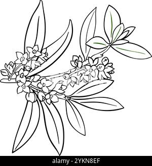 Olive Zweig mit Blumen Outline Illustration. Stock Vektor