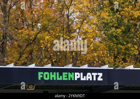 firo : 15.11.2024, Fußball, 1.Liga, 1.Bundesliga, Saison 2024/2025, Testspiel, Borussia Monchengladbach gegen Preussen Münster FohlenPlatz im Borussia-Park Symbolfoto, General, Depositor, Feature, Stockfoto