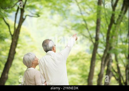 Seniorenpaar, das ein Waldbad nimmt, Rückansicht Stockfoto