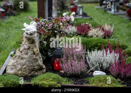 Verwitterte Statue im Efeu auf dem Hauptfriedhof Limburg 18.11.24, Limburg: Symbolfoto, Illustrationsbild, Symbolbild, Illustrationsfoto, Alltagsszene blühendes Grab mit Engelstatue ein liebevoll gepflegtes Grab auf dem Hauptfriedhof Limburg, geschmückt mit herbstblühender Heide, einem roten Grablicht, Moos und einer kleinen Engelstatue aus Stein, die auf einem Felsen ruht. Limburg Hessen Deutschland *** verwitterte Statue im Efeu auf dem Hauptfriedhof Limburg 18 11 24, Limburg Symbolfoto, Illustrationsfoto, Symbolfoto, alltägliche Szene blühendes Grab mit Engelsstatue A l Stockfoto