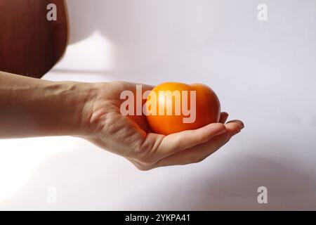 Hand hält orange reife Tomaten Nahfokus. Hand zeigt nach oben, Seitenansicht der Handfläche. Hausgemachtes frisches Bio-Gemüse Persimmon-Pfirsichfrucht Stockfoto
