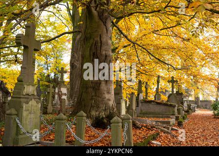 Alte Friedhofsstadt Hasselt in Belgien Stockfoto