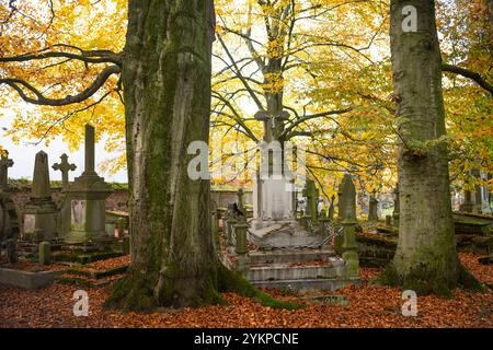 Alte Friedhofsstadt Hasselt im Herbst mit bunten Buchen, Belgien Stockfoto