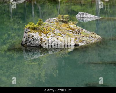 Nahaufnahme eines Felsens mit kleinen Kiefern, die darauf wachsen, in Lake Vert, Passy, Haute Savoie, Frankreich. Details zum Relfection Lake Stockfoto