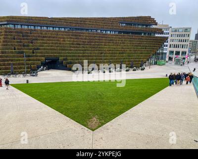 Ein mit Hainbuchen bepflanztes Haus mitten in der City von Düsseldorf. Stockfoto