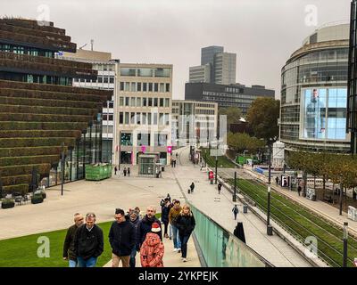 Ein mit Hainbuchen bepflanztes Haus mitten in der City von Düsseldorf. Stockfoto