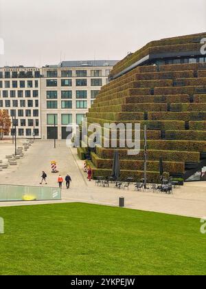 Ein mit Hainbuchen bepflanztes Haus mitten in der City von Düsseldorf. Stockfoto