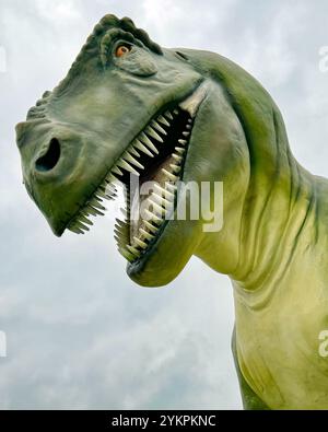 Lebensgrössenmodell eines Tyrannosaurus Rex - ein Spitzenräuber aus der Kreidezeit. Stockfoto
