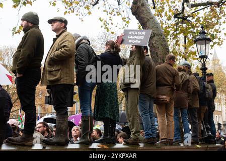 Westminster, London, Großbritannien. November 2024. Die Landwirte nehmen an einem Protest in Westminster gegen die im Haushalt angekündigten Änderungen der Erbschaftssteuer für landwirtschaftliche Betriebe Teil. Die Demonstranten glauben, dass es die Familienbauern ungerechtfertigterweise beeinflussen wird Stockfoto