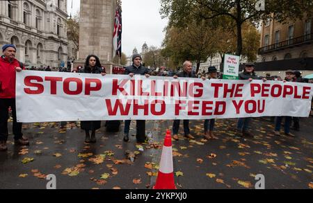 Westminster, London, Großbritannien. November 2024. Die Landwirte nehmen an einem Protest in Westminster gegen die im Haushalt angekündigten Änderungen der Erbschaftssteuer für landwirtschaftliche Betriebe Teil. Die Demonstranten glauben, dass es die Familienbauern ungerechtfertigterweise beeinflussen wird. Hör auf, die Leute zu töten, die dich ernähren Stockfoto