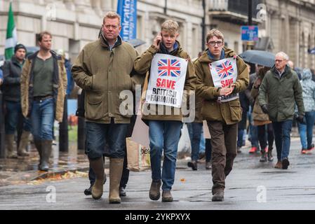 Westminster, London, Großbritannien. November 2024. Die Landwirte nehmen an einem Protest in Westminster gegen die im Haushalt angekündigten Änderungen der Erbschaftssteuer für landwirtschaftliche Betriebe Teil. Die Demonstranten glauben, dass es die Familienbauern ungerechtfertigterweise beeinflussen wird Stockfoto