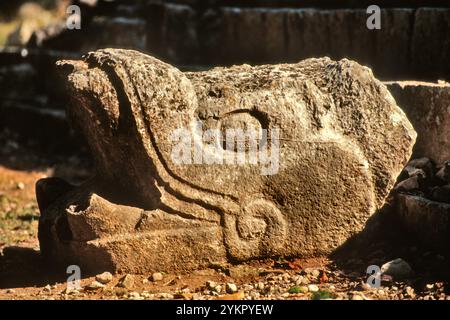 Schlangenkopf, Templo de los Tableros (Tempel der Panels), Maya, Ruinen der Tolteken, Sonnenuntergang, archäologische Stätte Chichen Itza, Yucatan, Mexiko Stockfoto