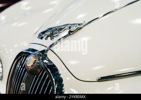 Frontscheinwerfer und Kühlergrill eines restaurierten roten Jaguar Oldtimers mit Emblem und Verzierung der Motorhaube, Nahaufnahme vorn. Hochwertige Fotos Stockfoto